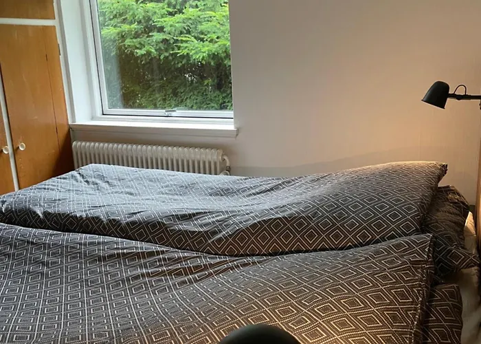 Nygade 42